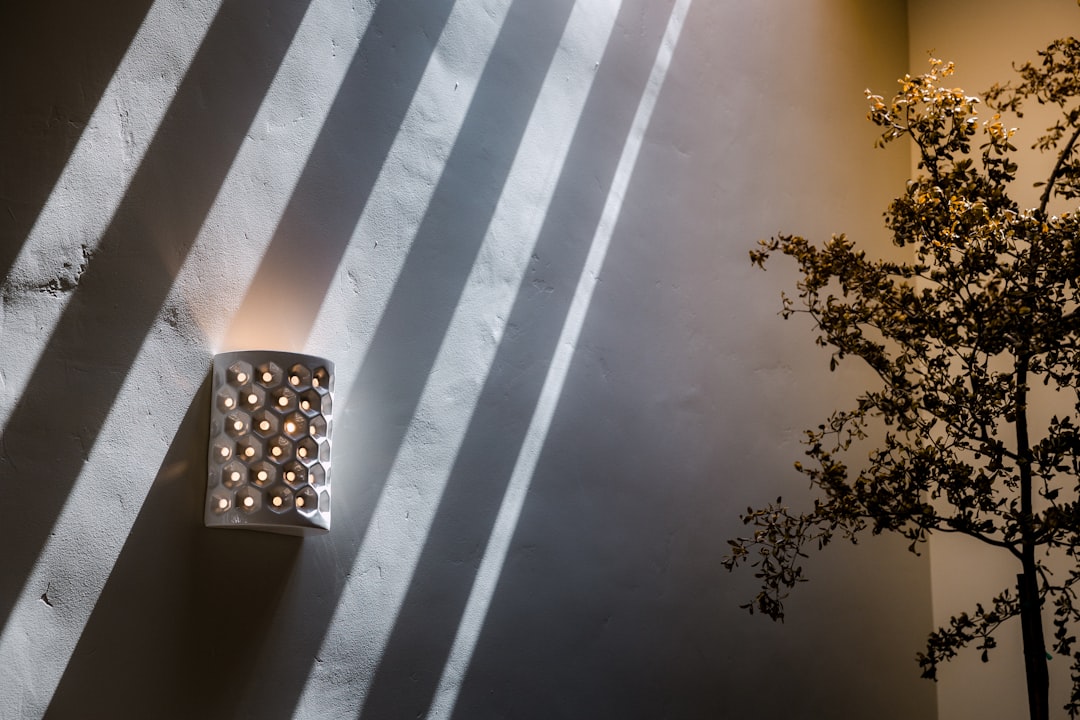 Photo sconce lighting